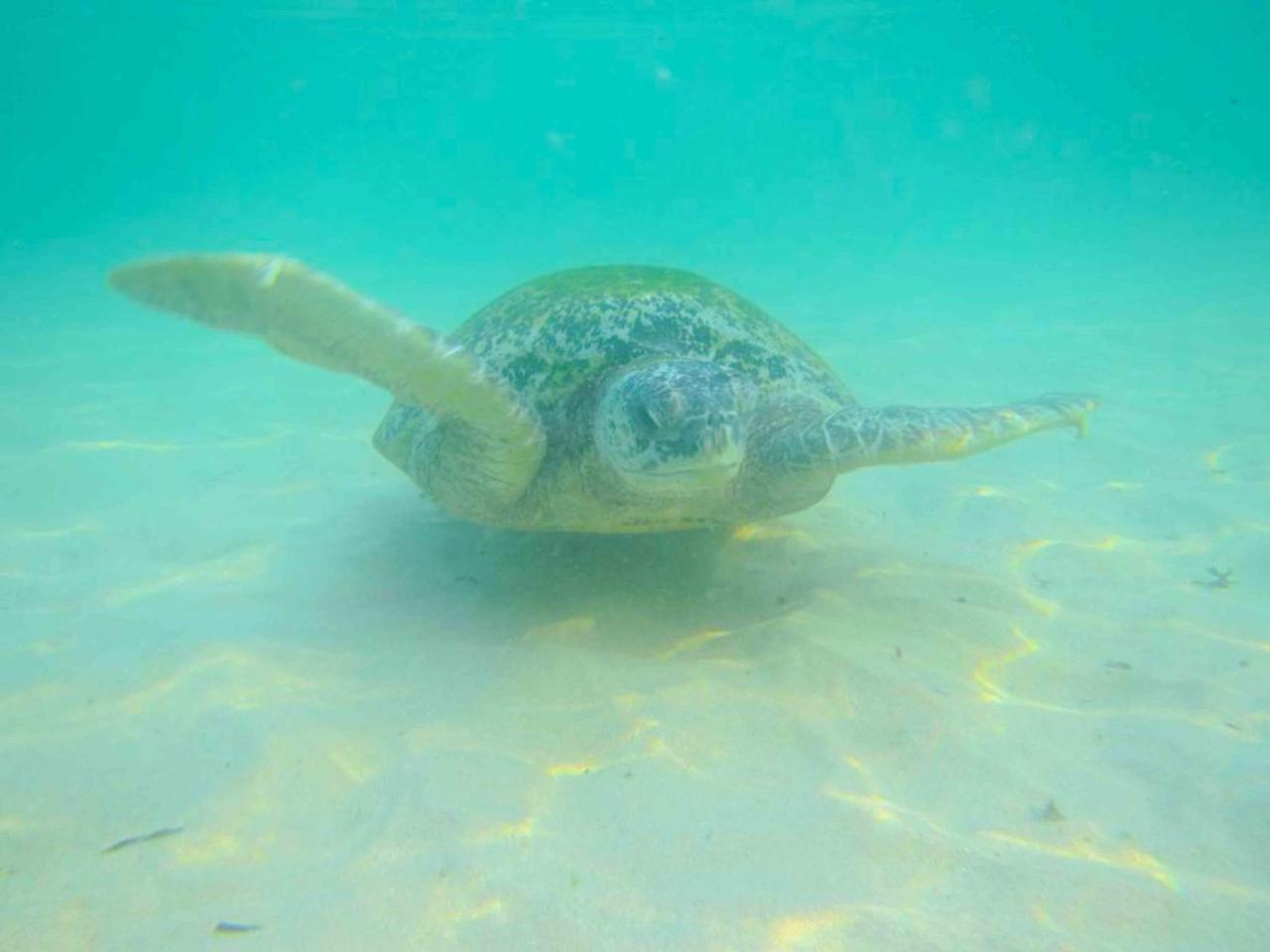 Hotel Indigo Unawatuna Zewnętrze zdjęcie